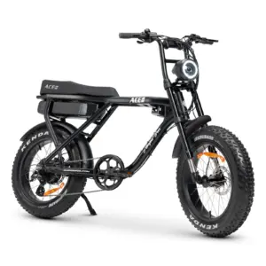 Ampd Bros Ace-X Plus Fat Tyre Electric Bike