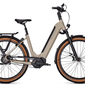 ebike