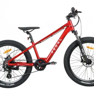 Pedal Warrior 24" Kids Electric Bike