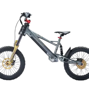 Takani 20" Electric Balance Bike TK2060-RS