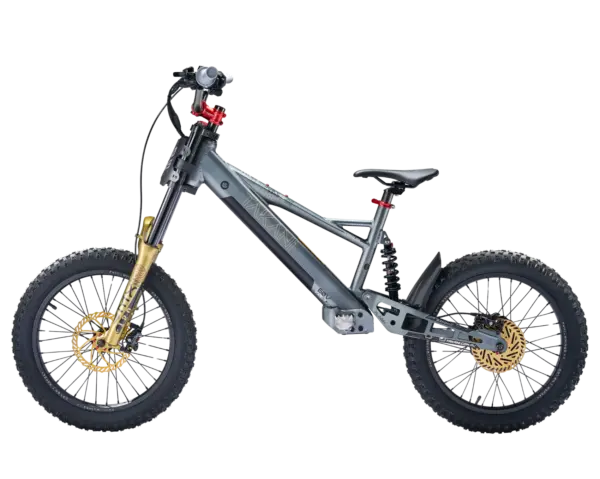 Takani 20" Electric Balance Bike TK2060-RS